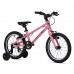 Welt Teddy 16 2026