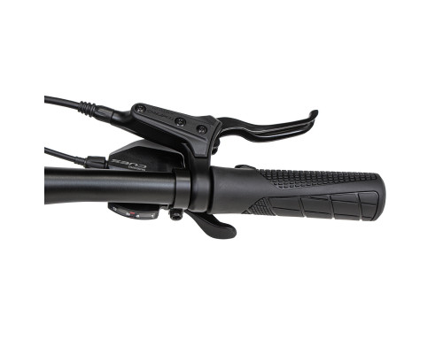 Welt Brave 3.0 HD 24 2026