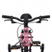 Welt Teddy 16 2026