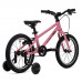 Welt Teddy 16 2026