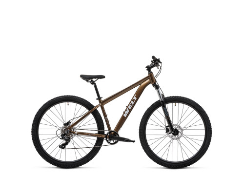 Welt Storm 29 HD 2025