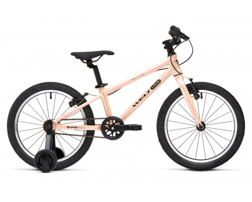 Welt Teddy 18 2025