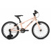 Welt Teddy 18 2025
