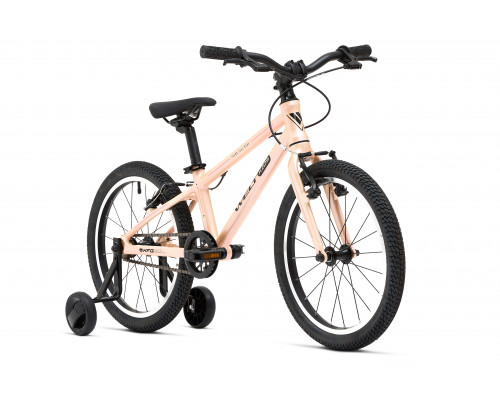 Welt Teddy 18 2025