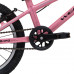 Welt Teddy 16 2026