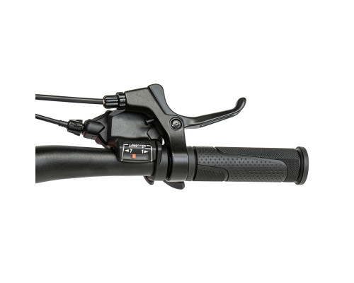 Welt Brave 1.0 MD 20 2026