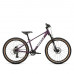Welt Brave 2.0 HD 24" 2025