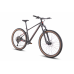 HAGEN 4.10 29 2025