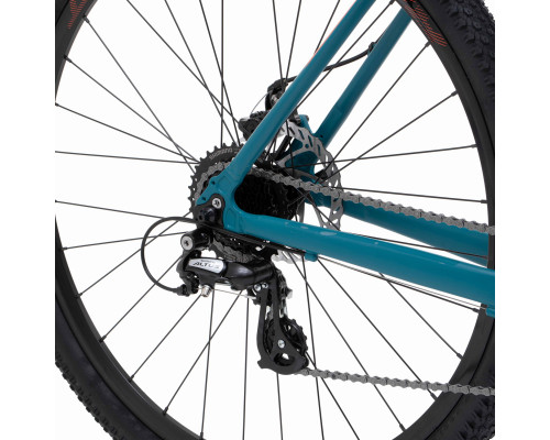 Welt Raven 2.1 D 29 2024