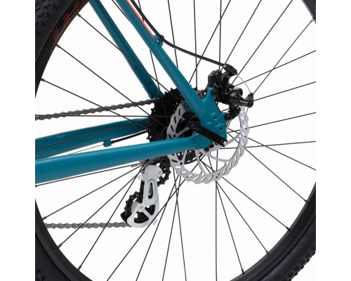 Welt Raven 2.1 D 29 2024
