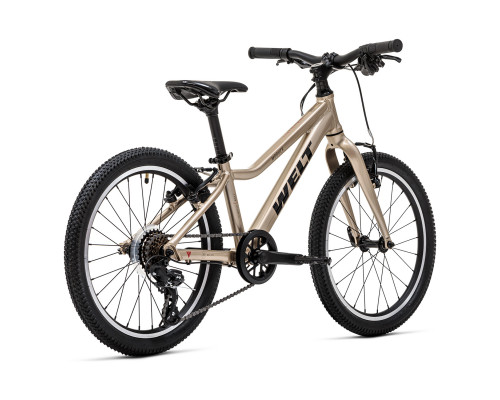 Welt Moovix 2.0 VB 20 2025