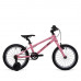 Welt Teddy 16 2026