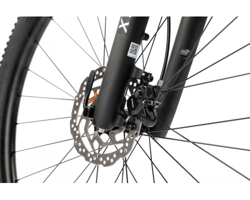 SUPERIOR XC 859 29" 2025