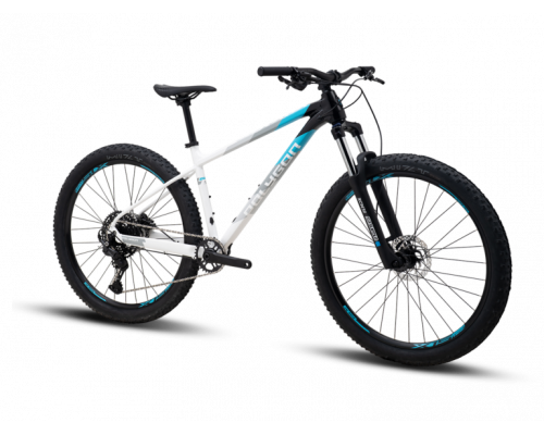 POLYGON XTRADA 5 LG 29 2025