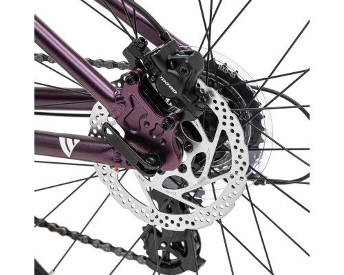 Welt Brave 2.0 HD 24 2026
