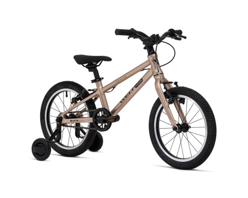 Welt Teddy 16 2026
