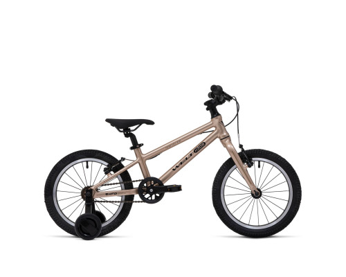 Welt Teddy 16 2026