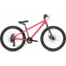 HARO Beasley 24 2021