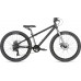 HARO Beasley 24 2021