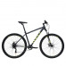 Welt Ridge 1.1 D 29 2024